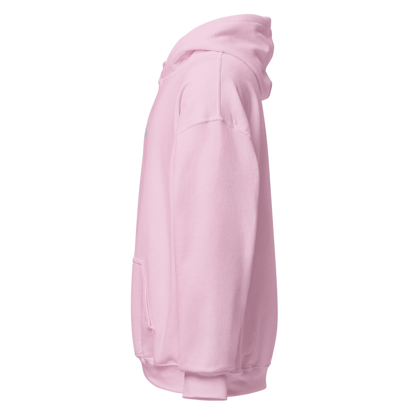 Birch Hoodie