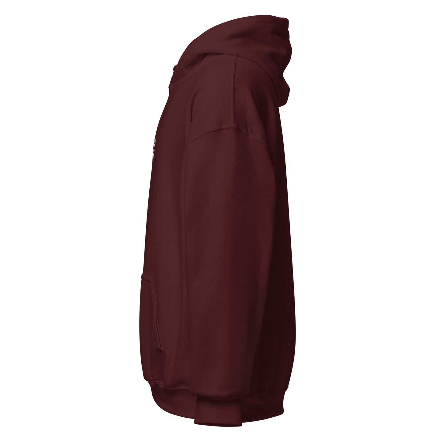 Llama House Hoodie